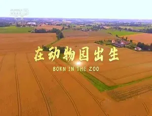 《必看！纪录片〈在动物园出生〉全1集TS/蓝光中字 百度网盘速存》