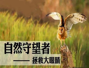 《自然守望者》第3季TS/蓝光资源 百度网盘速存-小文资源网