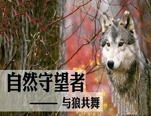 《自然守望者》第5季TS/蓝光资源 百度网盘速存