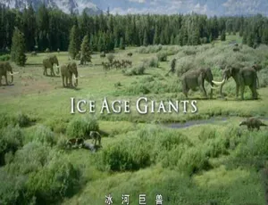 必看！《冰河巨兽 Ice Age Giants》全3集蓝光资源 4.5G 百度网盘速存