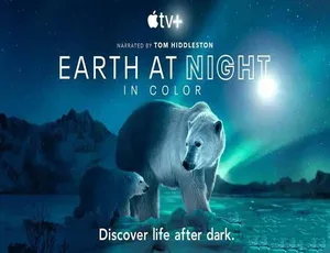 2K/1080i 第2季中字 42.33G《夜色中的地球 Earth at Night in Color》纪录片百度网盘资源