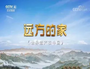 《远方的家：世界遗产在中国》全19集 720P/1080i 19.31G 百度网盘资源