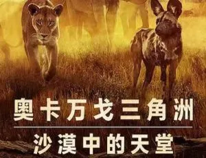 Netflix 出品 79min 纪录片《幸存的天堂》1080P 高清原声中字 百度云下载