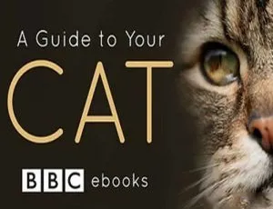 BBC 出品《猫咪观察》全 3 集高清英音中字视频合集 百度云网盘下载