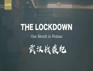 1080P 中英双字 1 集！纪录片《武汉战疫纪》百度网盘资源