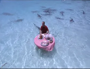 1080P 全 19 集中字 50G《鲨鱼周 2019 Shark Week》纪录片百度网盘资源