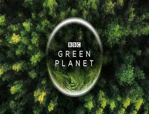 4K蓝光109G珍藏版《绿色星球 The Green Planet》全5集中字 百度网盘资源