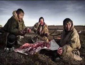 标清中字合集！百度网盘《消失的极地猎人：因纽特人 Netsilik Eskimo》纪录片-小文资源网