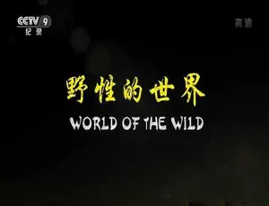 《野性的世界 World of the Wild》6集全蓝光中字 18.39G 百度网盘资源