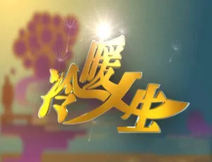 2017 冷暖人生纪录片标清合集 10.93G 百度网盘资源
