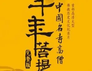 45集纪录片《千年菩提路》（DVD版）普清国语中字 百度云网盘视频合集下载-小文资源网