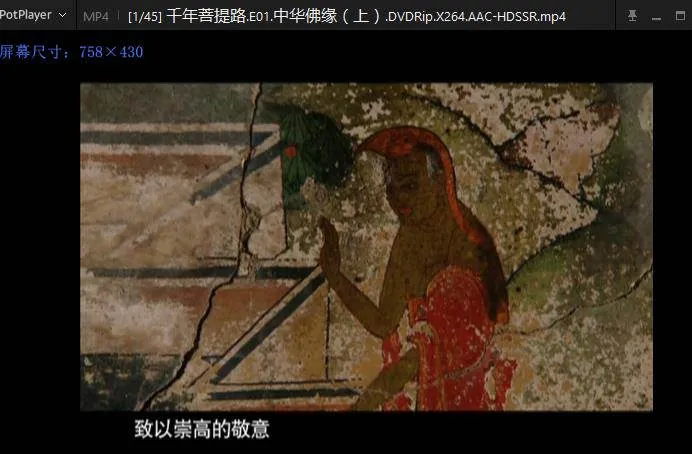 纪录片《千年菩提路》45集(DVD版)普清/国语中字/视频合集【百度云网盘下载】