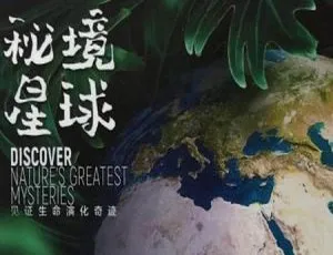 2020 全 5 集纪录片《秘境星球》大揭秘-小文资源网