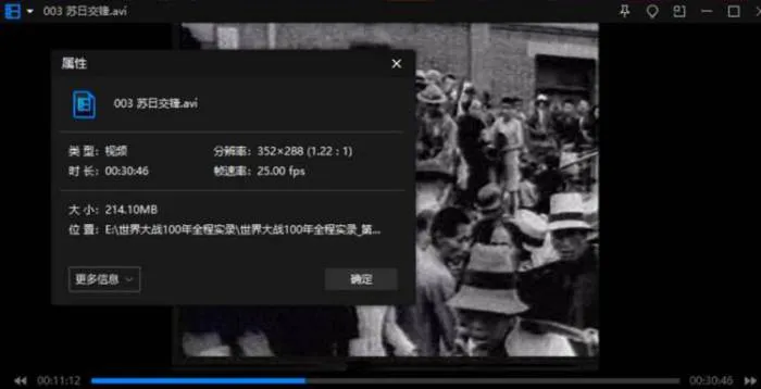 纪录片《世界大战100年全程实录》国语无字视频合集[AVI/RMVB/17.53GB]百度云网盘下载