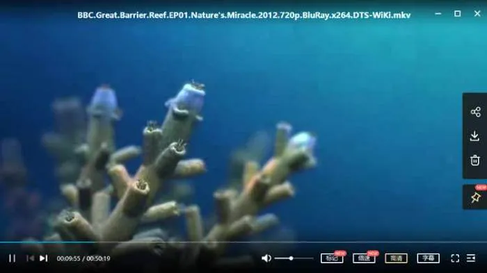 BBC纪录片《大堡礁》三部合集高清英语中字[MKV/6.33GB]百度云网盘下载