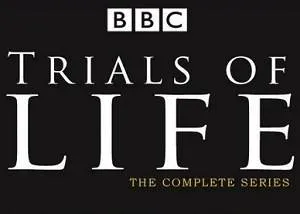 BBC纪录片《生命之源》全12集视频英语外挂中字[MKV/28.40GB]百度云网盘下载