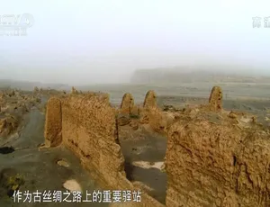 1080P 5集国语配音中字《南疆纪行 2016》纪录片百度网盘资源
