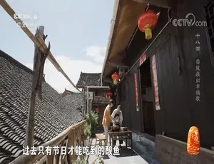 720P 国语中字！《记住乡愁》第九季 60 集百度网盘资源-小文资源网
