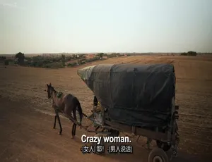 1080P 英语中字！《90 天未婚夫：另一种方式》第 4 季 17 集百度网盘资源