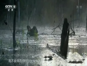 1080P 8集国语配音中字《一战日记》纪录片百度网盘资源-小文资源网