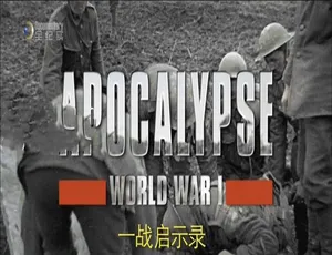 1080P 5集国语配音中字《启示录：第一次世界大战》纪录片百度网盘资源-小文资源网