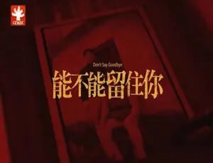 1080P 国语中字 2.28G 纪录片《能不能留住你 Don’t Say Goodbye》百度网盘资源