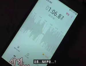 1080P第11季40集带中字！纪录片《瞬间捕捉世界有奇事》百度网盘资源-小文资源网