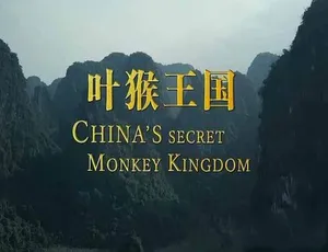 必看！《叶猴王国》全1集蓝光中字 百度网盘资源-小文资源网