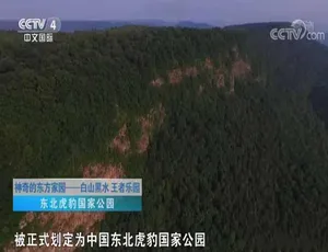 1080P 第 1 部 21 集《神奇的东方家园》纪录片百度网盘资源-小文资源网