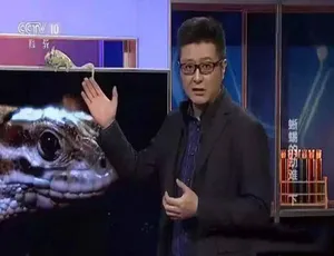 2008 合集标清《走近科学》纪录片百度网盘资源