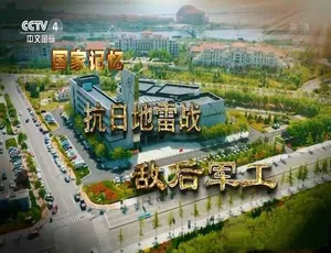 蓝光全2集！抗日地雷战纪录片[百度网盘 中字]-小文资源网