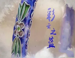 《彩云之南》纪录片 全1集 TS/蓝光 2.49G 百度网盘资源