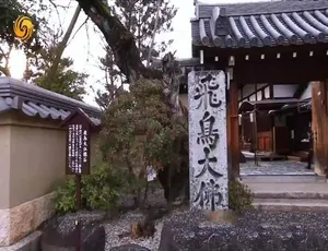 《筑梦天下2019》标清合集11.96G 百度网盘资源