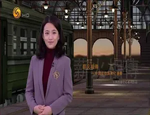必看！《凤凰大视野 2013》44 部标清全集 48.62G 百度网盘资源