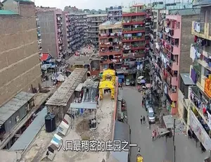 1080P全1集中字664.86M！纪录片《管道庄园：非洲版猪笼城寨》百度网盘资源-小文资源网