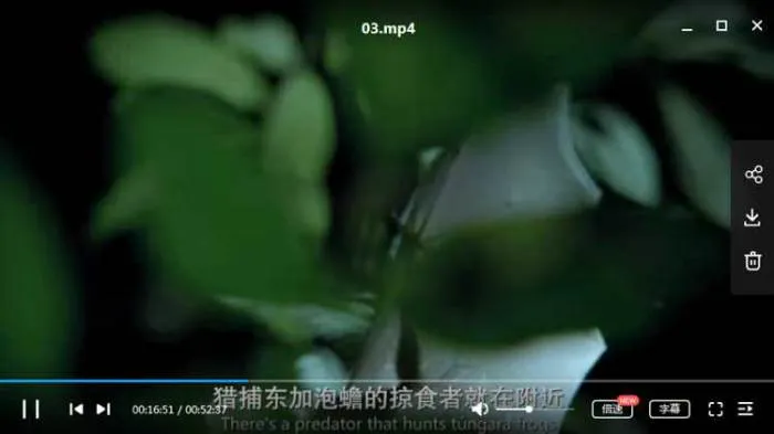 纪录片-《地球的夜晚》(2020)HD1080P官方中英双字 全6集