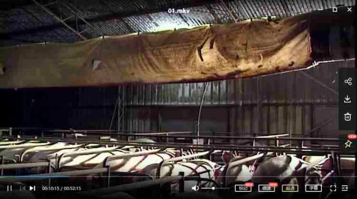 BBC纪录片《超级生物群》视频2集英语中字[MKV/8.81GB]百度云网盘下载