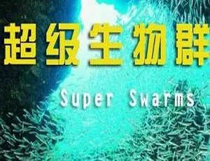 《超级生物群》2集英语中字BBC纪录片 8.81GB MKV 百度云速下