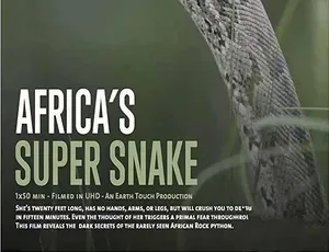 必看！非洲超级巨蟒纪录片《纳塔尔蟒一族Africa’s Super Snake》全1集中字 蓝光百度网盘资源