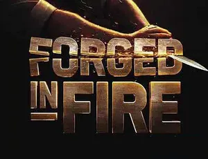 720P/1080i 第 8 季原版无字《锻刀大赛 Forged in Fire》34.72G 百度网盘资源-小文资源网