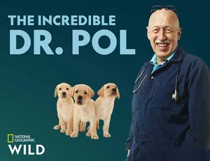 1080P高清！《动物神医The Incredible Dr.Pol 2022》第5季全10集 英语多国中字 官方纯净版 25.9G 百度网盘资源-小文资源网