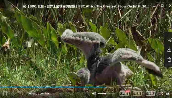 BBC纪录片《非洲－世界上最壮丽的景象》英语中字[MKV/1.46GB]百度云网盘下载
