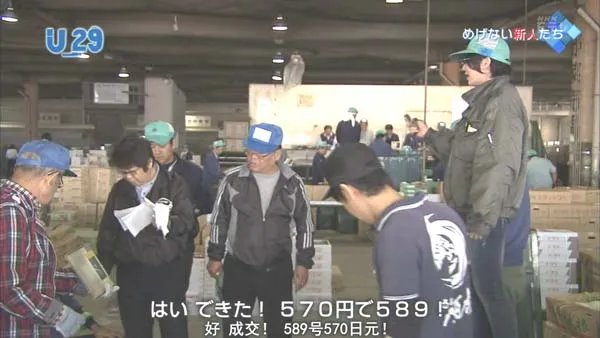 [2014][日本][人生规划U-29 特选「总集篇 奋斗的女性」][中日双语字幕][720P][367M][百度盘]