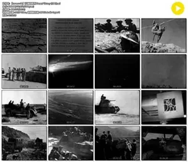 [1943][英国][沙漠胜利][DVDRip][699M][百度盘]