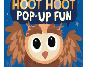 儿童教育必看！《呼特小守卫 Hoot Hoot Go》中文版26集 2.32GB百度网盘资源