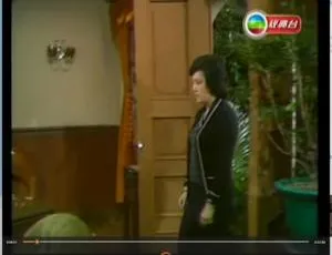 1976 香港经典《春残》：国粤双语中字 26.1GB 百度云资源-小文资源网