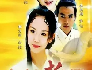 2001香港神剧《青蛇与白蛇》：范文芳焦恩俊主演 30集53.67GB百度网盘 国粤中字-小文资源网