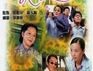 2000年TVB港剧《Loving You我爱你1》9.85GB百度云资源-小文资源网