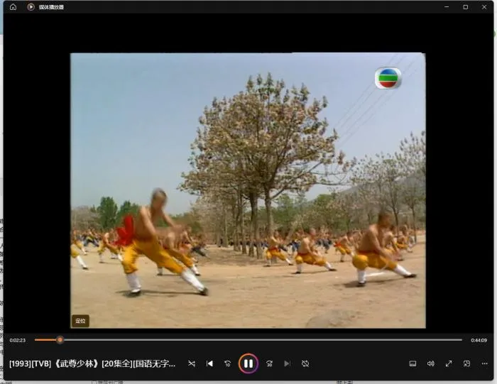 [1993][TVB][中国香港]《武尊少林》[16.71GB][百度云]