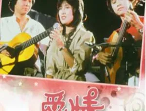 1982 中国香港经典《爱情安歌 》4.69GB 百度云资源-小文资源网